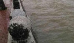 湛江赤坎最新新闻爆料,最新爆料揭示惊人真相