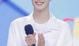 肖战明星八卦爆料视频播放,揭秘视频播放背后的热点与争议